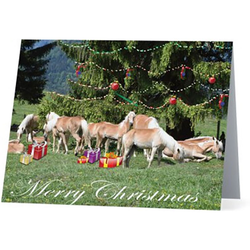 Haflinger Horse Online Merchandise