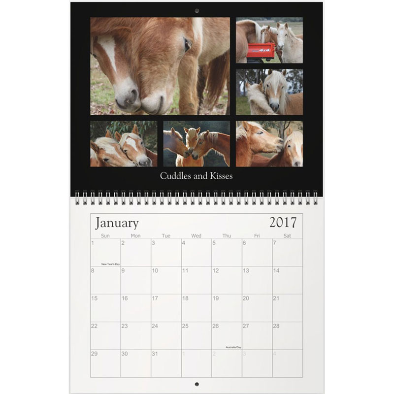 Australian Haflinger Horse Breeders Association Calendar