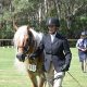 Australian Haflinger Horse Breeders Association Membership Information