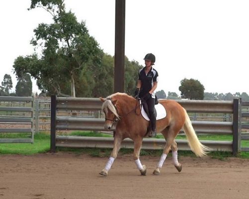 Thumbnail for the listing's main image